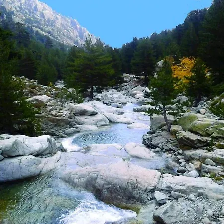 Daire Chaleureux A Penta-di-casinca 60 M² Avec Piscine Privee *