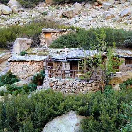 Daire Chaleureux A Penta-di-casinca 60 M² Avec Piscine Privee Penta di Casinca