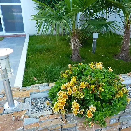 Daire Chaleureux A Penta-di-casinca 60 M² Avec Piscine Privee *