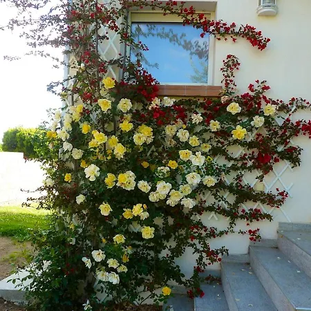 Chaleureux A Penta-di-casinca 60 M² Avec Piscine Privee Daire *