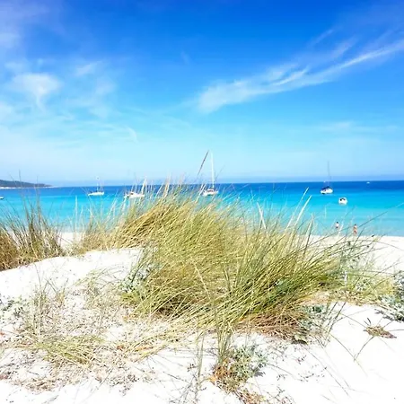 Chaleureux A Penta-di-casinca 60 M² Avec Piscine Privee