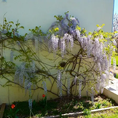 Chaleureux A Penta-di-casinca 60 M² Avec Piscine Privee Apartmán Penta di Casinca