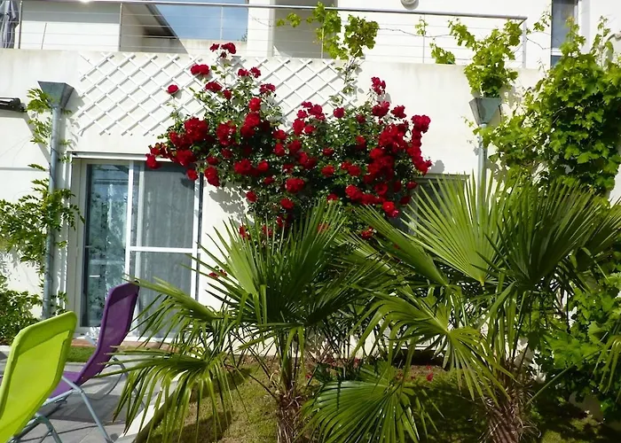 公寓 Chaleureux A Penta-di-casinca 60 M² Avec Piscine Privee Penta di Casinca