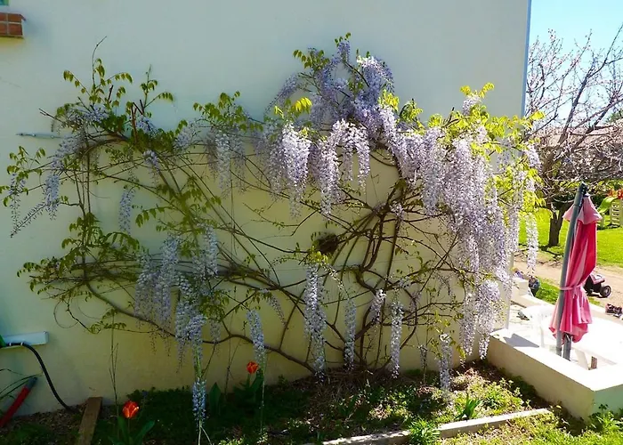 Chaleureux A Penta-di-casinca 60 M² Avec Piscine Privee 公寓 Penta di Casinca