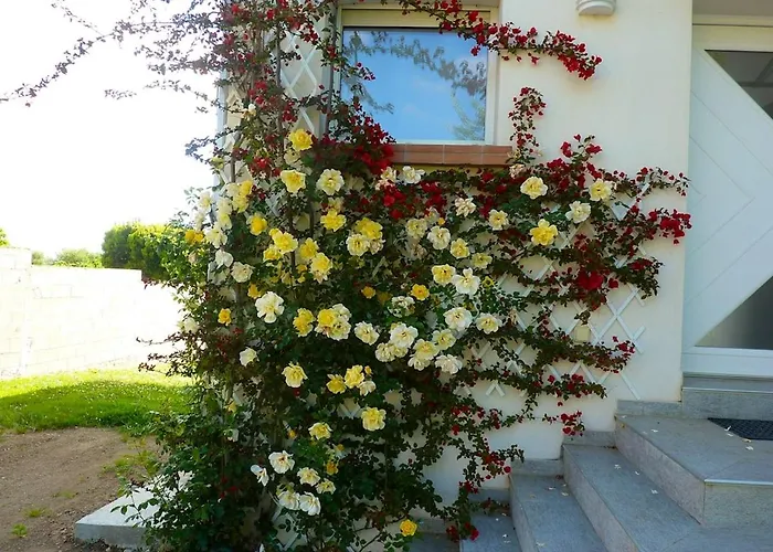 Chaleureux A Penta-di-casinca 60 M² Avec Piscine Privee 公寓 *