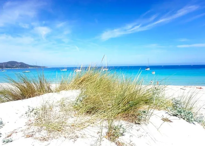 Chaleureux A Penta-di-casinca 60 M² Avec Piscine Privee